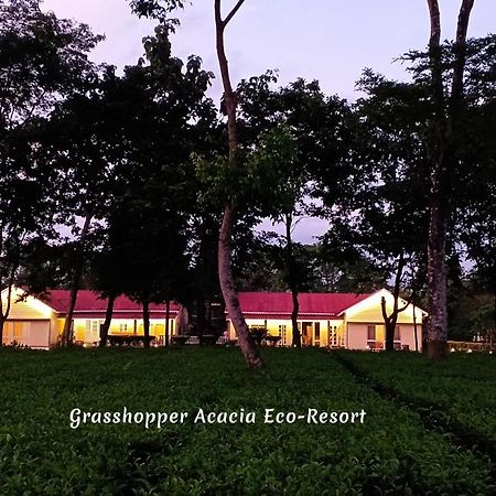 Grasshopper Acacia Eco Resort Madari Hat Ngoại thất bức ảnh