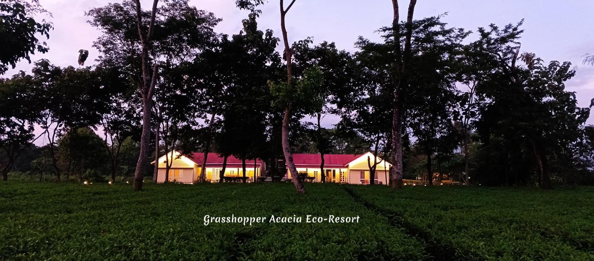 Grasshopper Acacia Eco Resort Madari Hat Ngoại thất bức ảnh